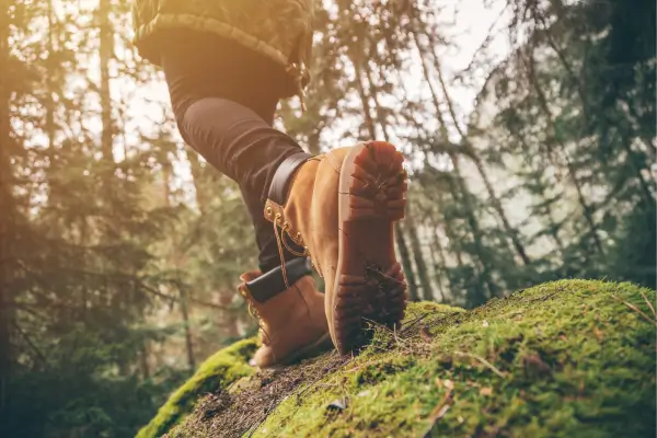 The Best Hiking Boots for Alpine Trails: Reviews and Recommendations